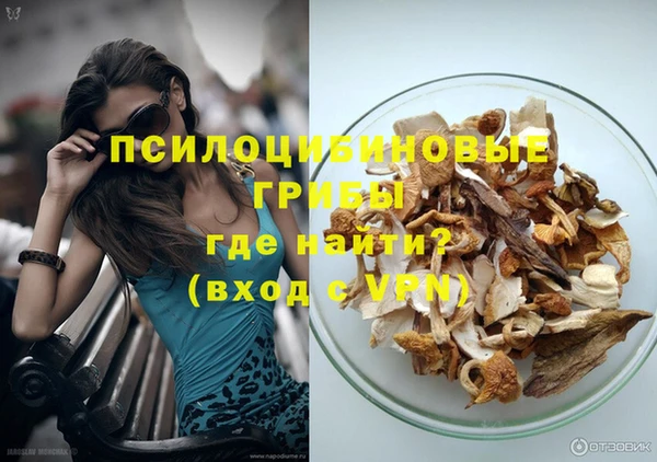 стафф Лабытнанги