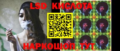 гидра Будённовск